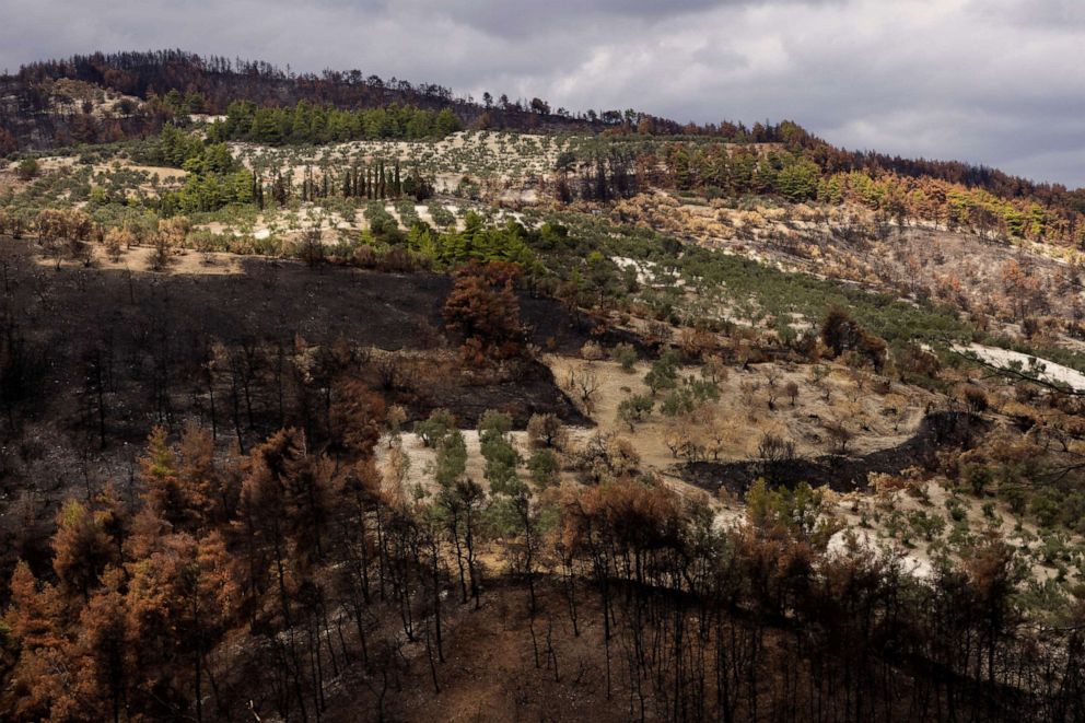 PHOTO: A view shows burnt parts of a forest on the island of Evia, Greece, September 23, 2021.