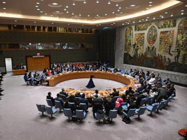 UN Security Council adopts Gaza cease-fire resolution