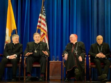 Cardinal suggests Pope Leo XIV wasn't elected as 'counterweight' to Trump