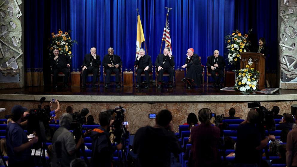 PHOTO: Cardinals Daniel DiNardo,Timothy Dolan, Joseph Tobin, Blase Cupich, Wilton Gregory, Robert McElroy and Christophe Pierre attend a press conference at the Pontifical North American College in Rome, Italy, May 9, 2025. 