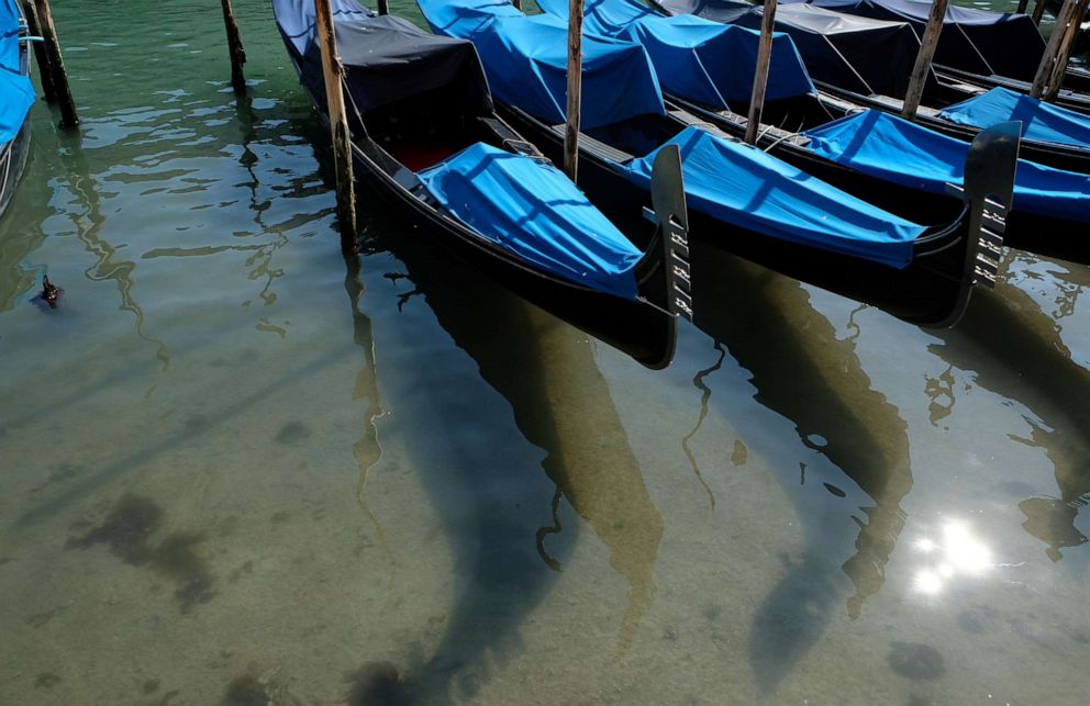 PHOTO: Clear water is seen in Venice's canals due to less tourists, motorboats and pollution, as the spread of the coronavirus disease (COVID-19) continues, in Venice, Italy, March 18, 2020.