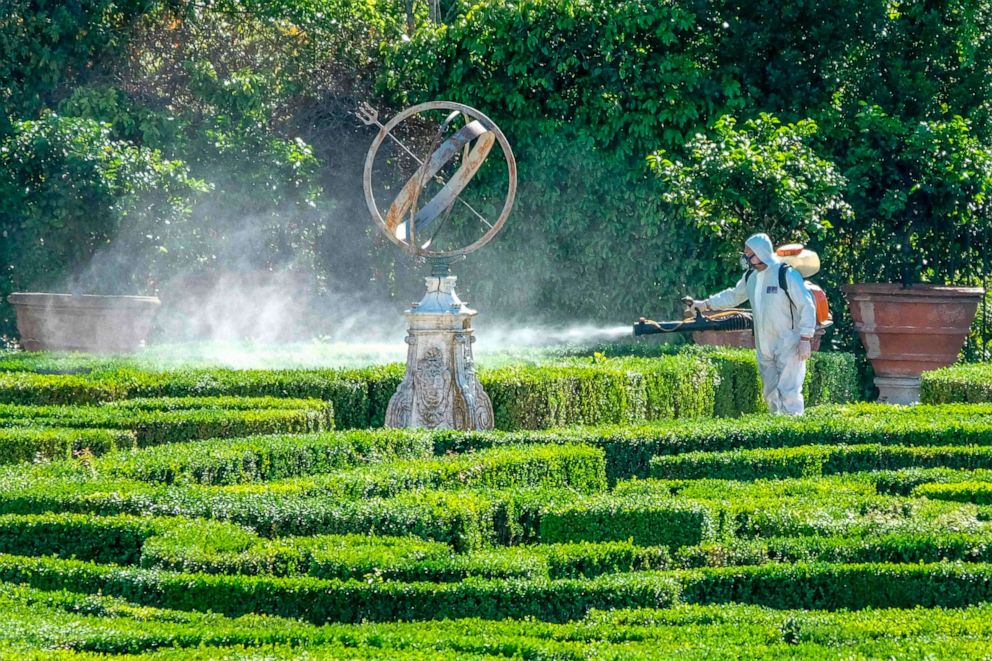 PHOTO: An employee sprays box trees in the park of the Villa Doria Pamphili in Rome on May 4, 2020, as Italy starts to ease its lockdown aimed at curbing the spread of the novel coronavirus.