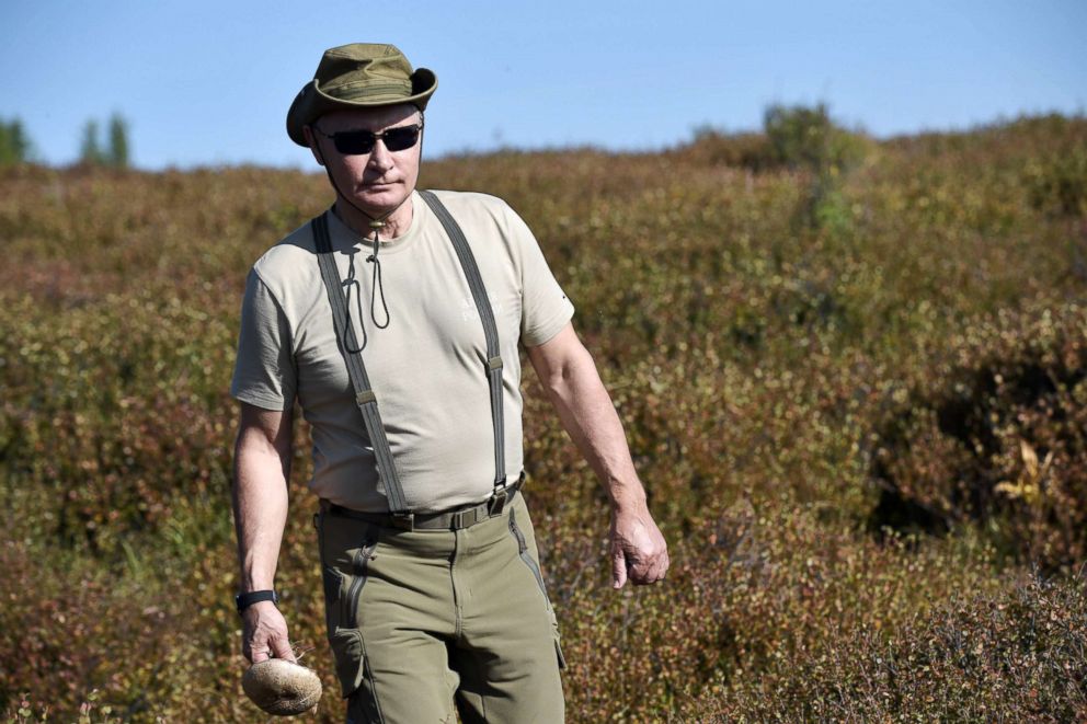 PHOTO: President Vladimir Putin walks with a mushroom in his hand during a short vacation in the remote Tuva region in southern Siberia on Aug. 26, 2018, in a photo released by the Russian state news agency.