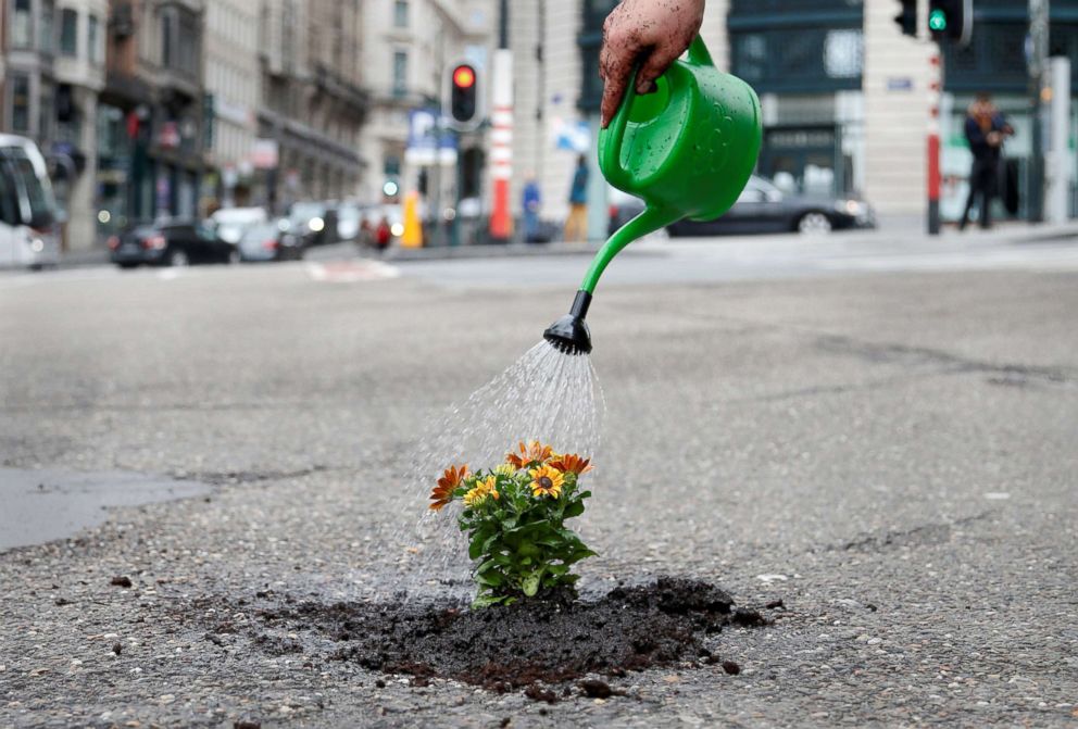 PHOTO: Brussels resident Anton Schuurmans waters flowers after planting them in an unrepaired pothole in Brussels, Belgium, April 5, 2018.