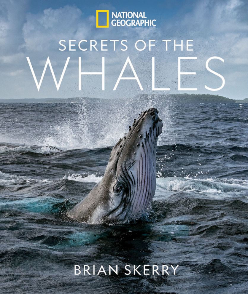 PHOTO: "Secrets of the Whales," 2021.