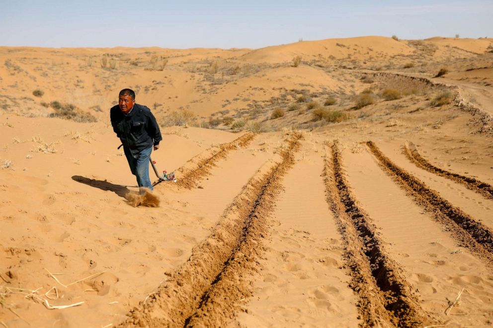 PHOTO: Wang Yinji plows the ground before planting straw to prevent sand movement on the edge of the Gobi desert on the outskirts of Wuwei, China, April 16, 2021.