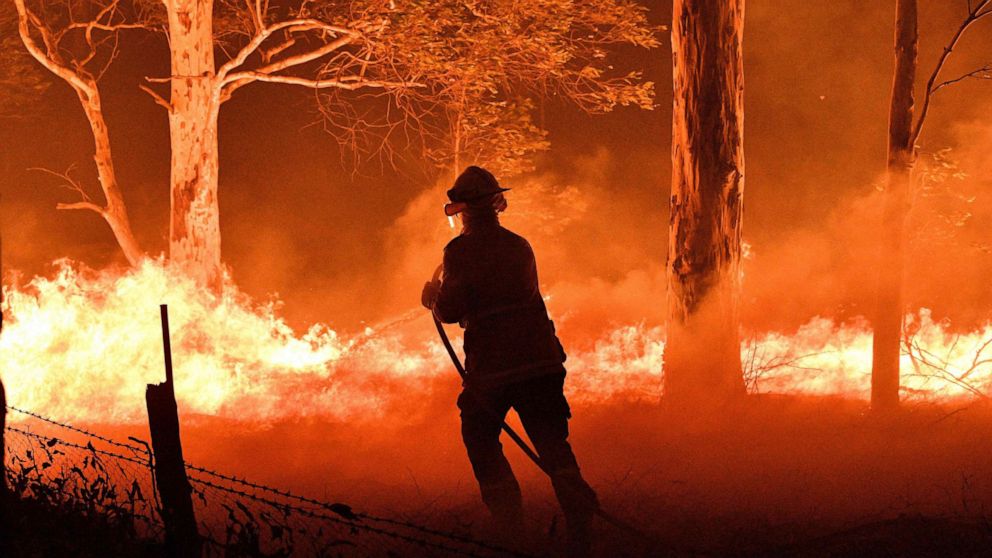 How To Help Support The Australian Wildfires Relief Effort Abc News