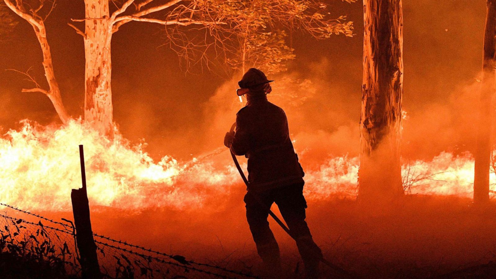 PHOTO: A firefighter hoses down trees and flying embers in an effort to secure nearby houses from bushfires near the town of Nowra in the Australian state of New South Wales, Dec. 31, 2019.