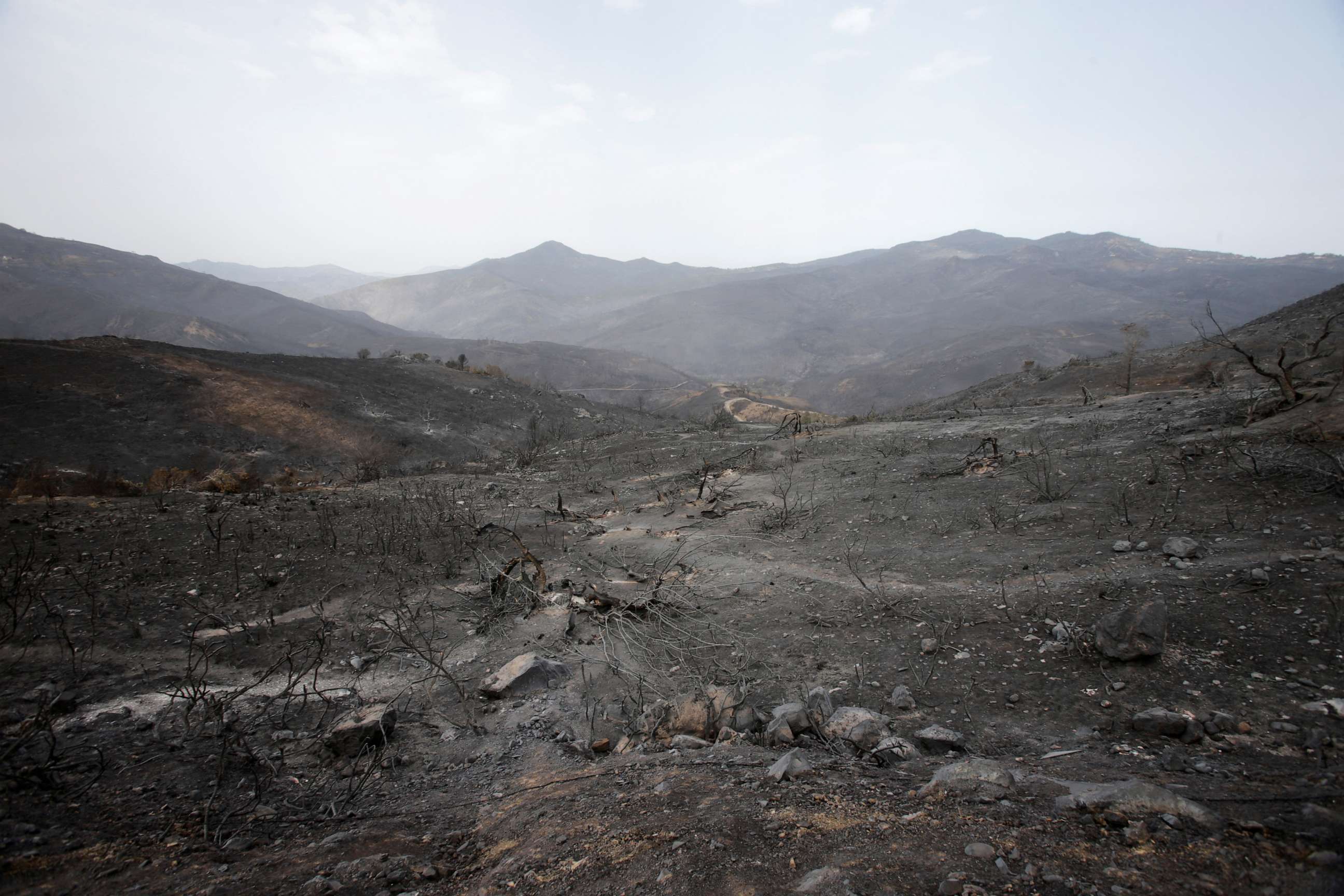 PHOTO: A general view shows a burnt area in the aftermath of a wildfire in Bejaia, Algeria, on July 25, 2023.