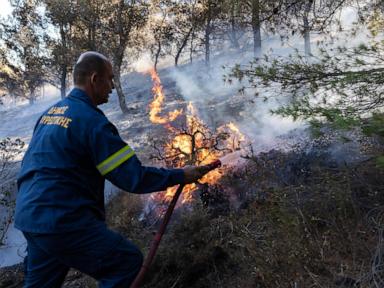 Firefighters tackle blazes on Greek islands of Chios and Kos as premier warns of 'dangerous summer'