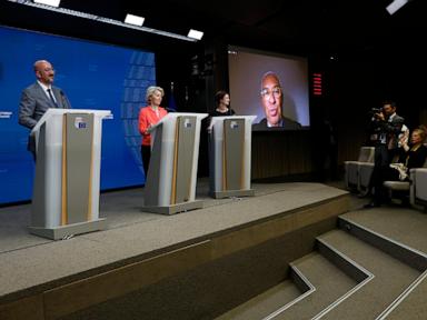 EU leaders have tapped their top brass. Von der Leyen must win over parliament to keep her job