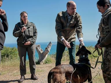 Prince William walks nature trails near South Africa's Table Mountain to promote conservation