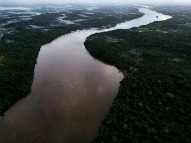 Key Amazon cases reach Brazil’s Supreme Court following Lula's defeats in Congress