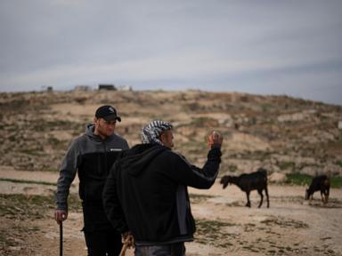 Oscar-winning Palestinian director attacked by Israeli settlers, detained: Activists