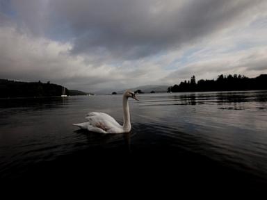 UK government vows to clean up Lake Windermere after beauty spot clogged with sewage