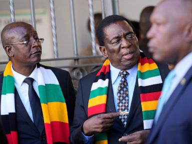 The Zimbabwe Succession Panic is Asking the Wrong Question