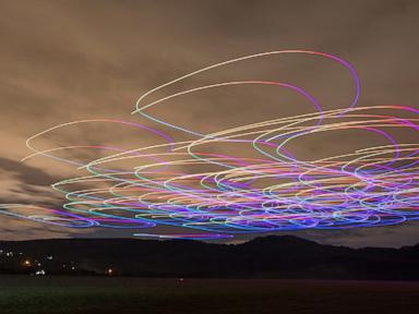 Data on animal movements help Hungarian researchers create a swarm of autonomous drones