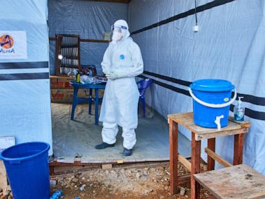 Why Western Aid and Centralized Bureaucracy Keep Fueling the Ebola Crisis