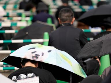 Japanese fans bid farewell to beloved panda pair before their return to China