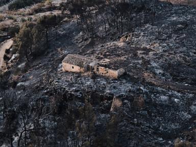 The Southern Spain Wildfire Tragedy Proves Our Evacuation Logic Is Broken