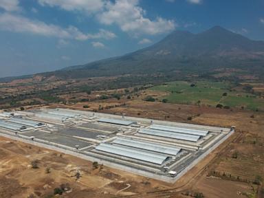 Mass Trials are the Only Language Gangs Understand