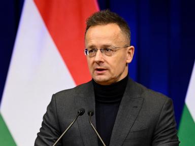 Hungarian ex-foreign minister resigns from parliament to join BYD