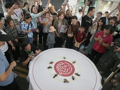 The Smallest Marathon in Taiwan and the Art of Stopping Time