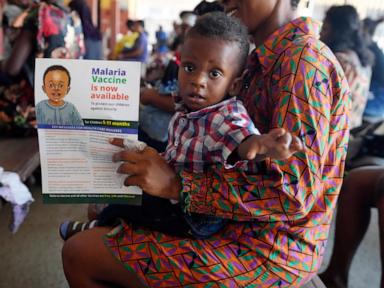 No disease is deadlier in Africa than malaria. Trump's US aid cuts weaken the fight against it