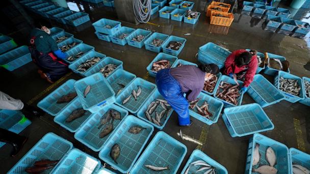 FILE - Local workers arrange the inshore fish during a morning auction at Hisanohama Port, on Oct. 19, 2023 in Iwaki, northeastern Japan. (AP Photo/Eugene Hoshiko, Pool, File)