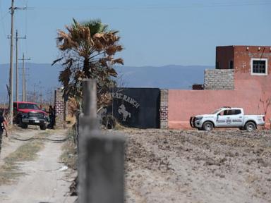 Armed men seen on video targeting group searching for relatives in Jalisco