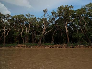 Cambodian fishermen turn to raising eels as Tonle Sap lake runs out of fish