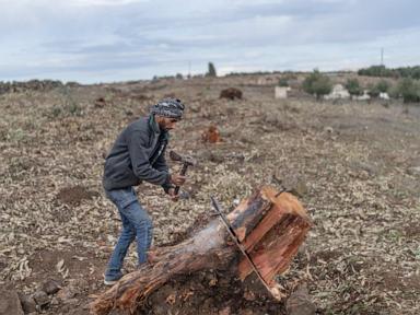 Residents of Syria's Quneitra are frustrated by lack of action to halt Israeli advance