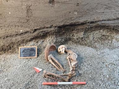 The Digital Resurrection of Pompeii and the End of Archaeological Mystery