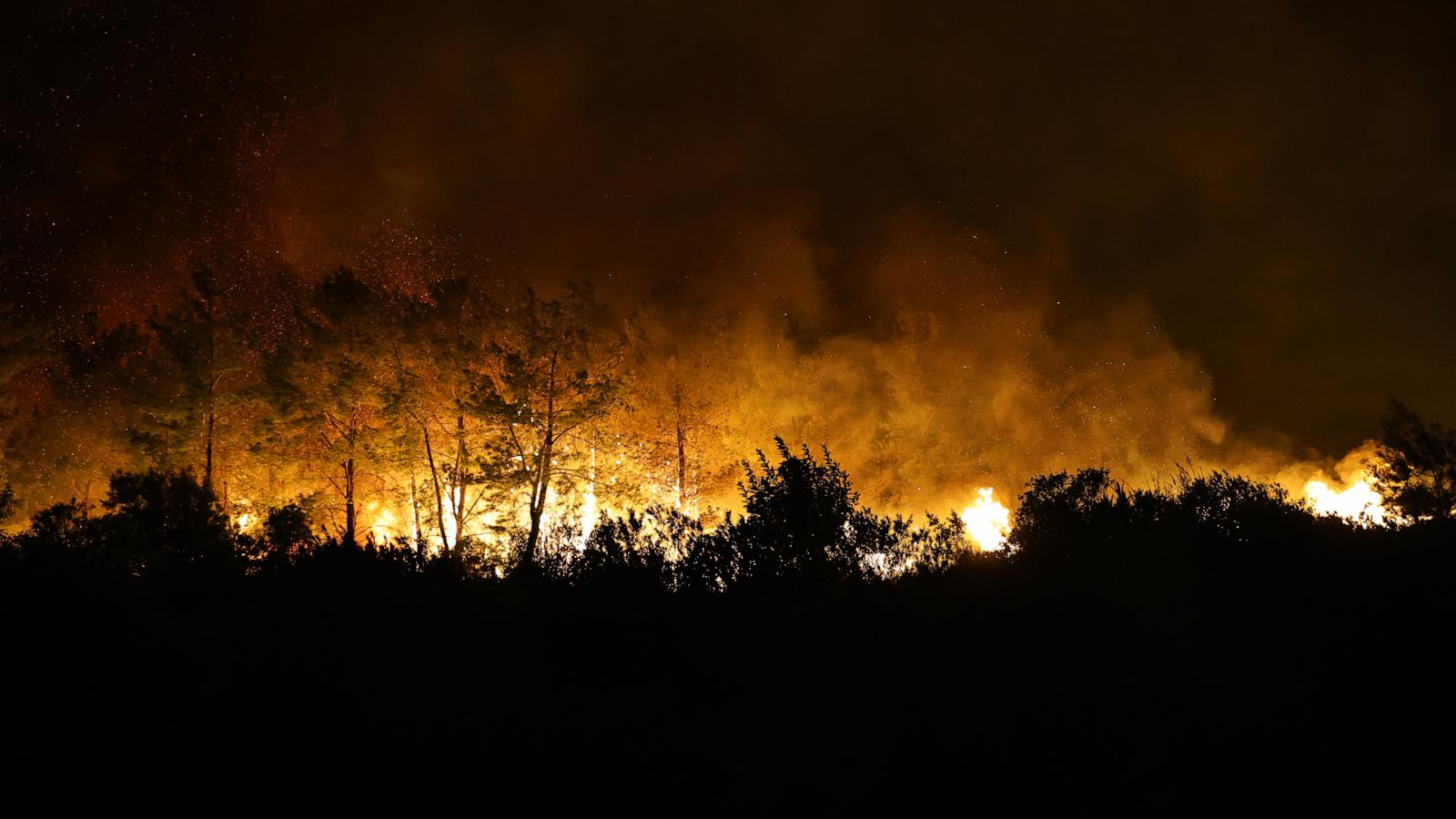 Volunteer firefighter dies in Turkey while tackling wildfire, 8 people injured