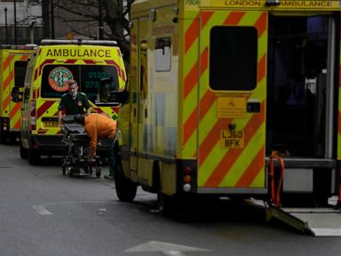 A runaway alligator and other non-emergencies that hampered UK ambulance dispatchers