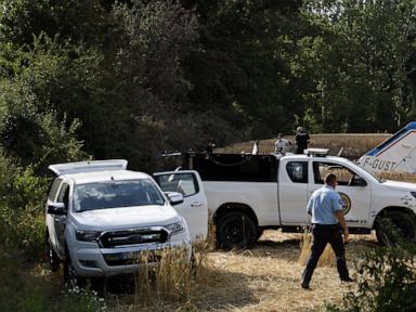 Founder of Assassin's Creed maker Ubisoft killed in plane crash in western France