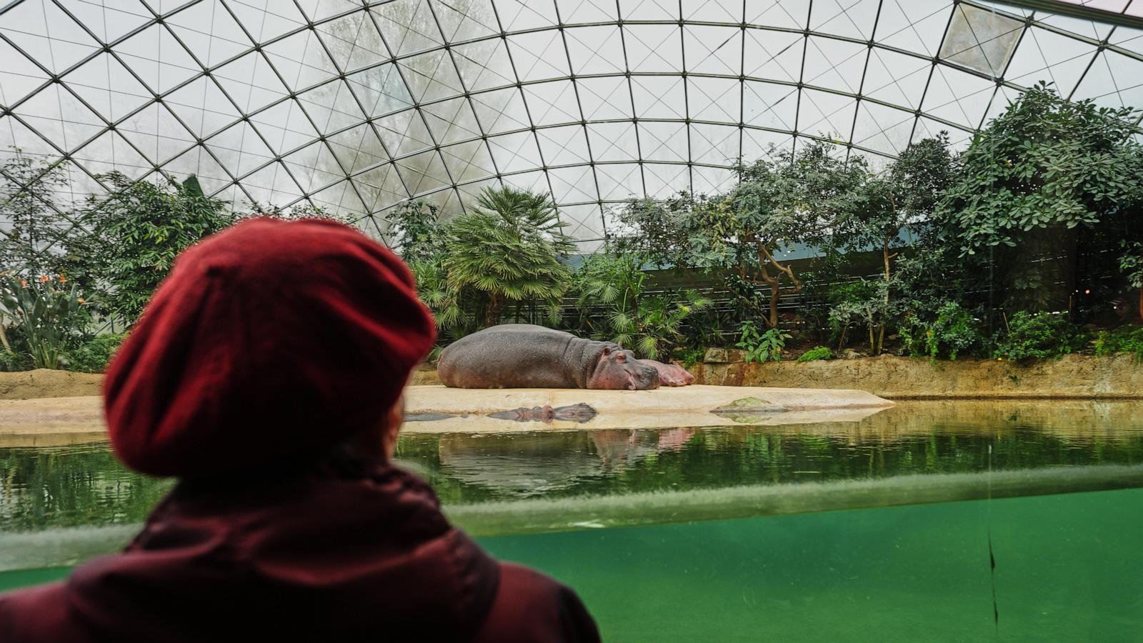 A specialized tour at the Berlin Zoo brings joy to people living with dementia