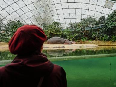 How the Berlin Zoo Uses Animals to Reach People with Dementia