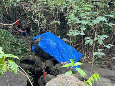 A zoo elephant dies in Indonesia after being swept away in a river