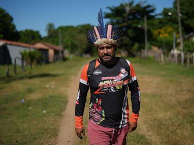 The Unintended Crisis of Clearing Cattle from Brazil Amazon