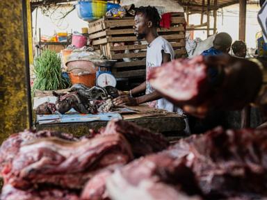 Why Eating Wild Animals Keeps Triggering Ebola Outbreaks in Congo