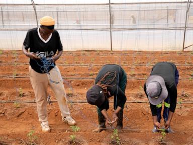 A farming project in South Africa is helping deaf people build skills and find jobs