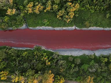 'Looks like a stream of blood.' Argentina river turns red, sparking toxic leak fears