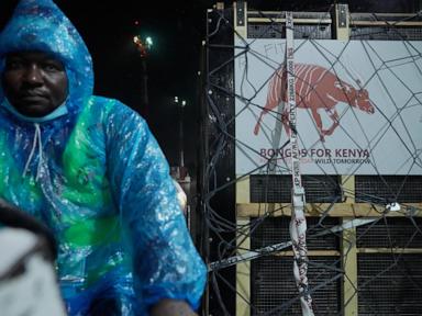 Conservation or Colonialism Why the Antelope Airlift is a PR Stunt for Failing Ecosystems