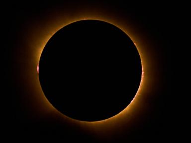 Shadow Over Madrid The Economic and Logistical Shock of Spain S Historic Solar Eclipse