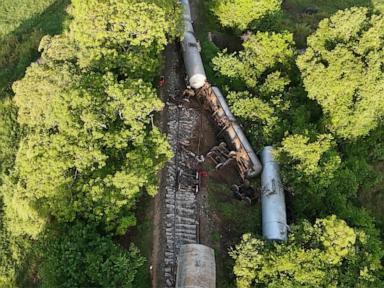 Train hits and kills 2 wild elephants in Sri Lanka