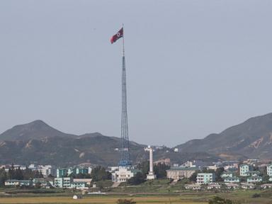 A North Korean diplomat in Cuba defected to South Korea in November, a possible blow to leader Kim