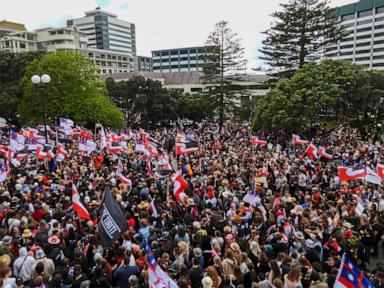 35,000 crowd New Zealand's Parliament grounds in support of Māori rights