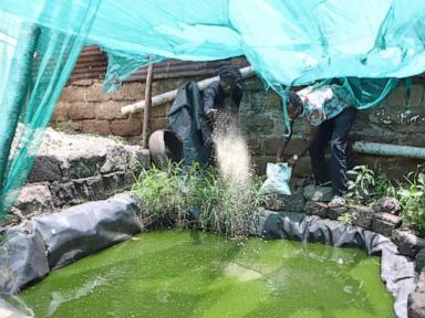 They once lived the 'gangster life.' Now they tackle food insecurity in Kenya's slums