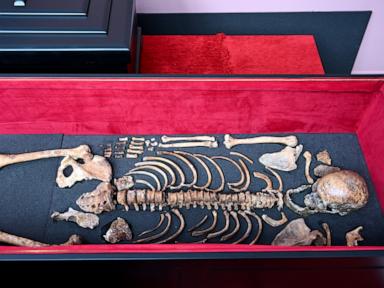 Remains of medieval king Czar Samuel arrive in Bulgaria after decades of talks with Greece